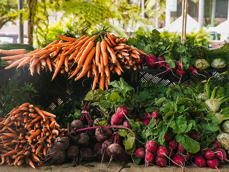Farmers Market Lifestyle | The Arbors Apartments in Livermore