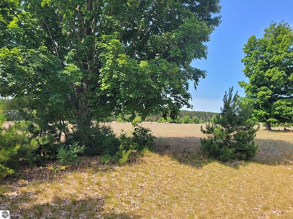 4th image of 11849 Meadowpine Dr