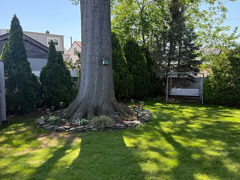 Backyard lawn area