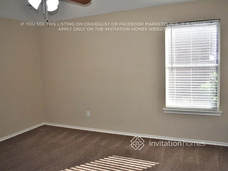3247 Serpis — Photo 21