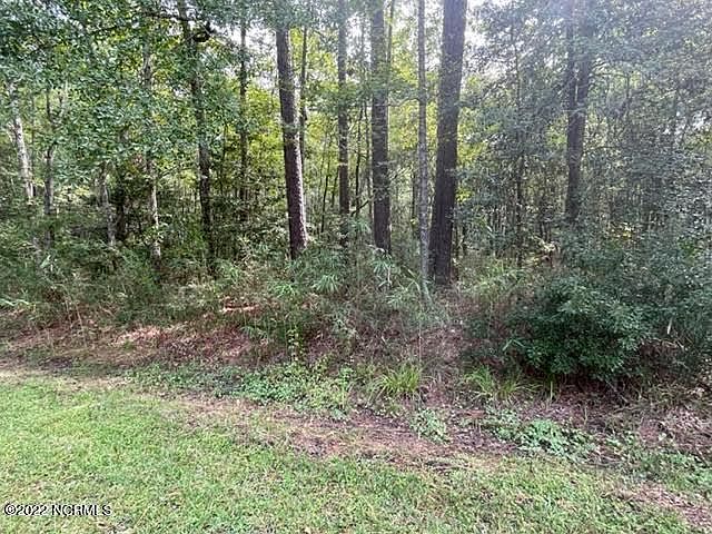 2nd image of 0 Pamlico River Drive