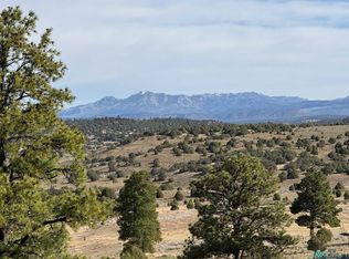 0 Garth Tract Rd, Los Ojos, NM 87551