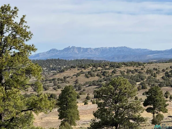 0 Garth Tract Rd, Los Ojos, NM 87551