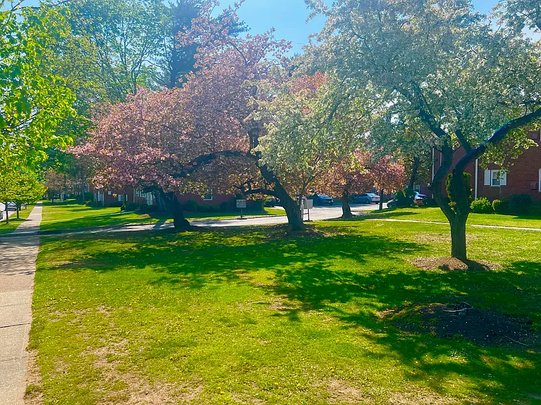 Brooklawn Gardens — Photo 13