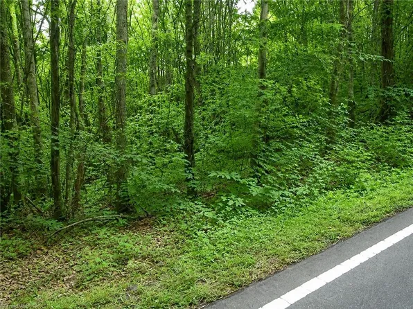 0 Sheppard Mill Rd Parcel 8387, Danbury, NC 27016