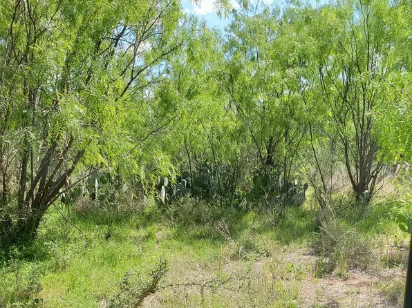 Lot 303 Driftwood Drive, Granite Shoals, TX 78654