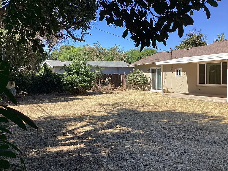 Backyard.