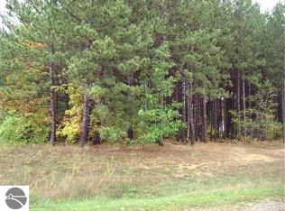 414 Maplebrooke Ln, Cadillac, MI 49601