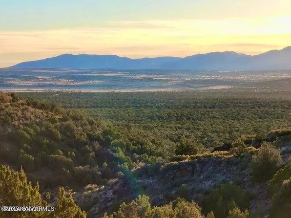 Tbd W Peaceful View Trl 42.87 Acres, Seligman, AZ 86337