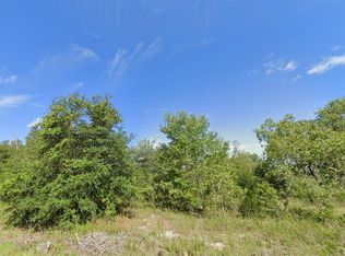 0 Guava Lane Crse #13, Ocklawaha, FL 32179