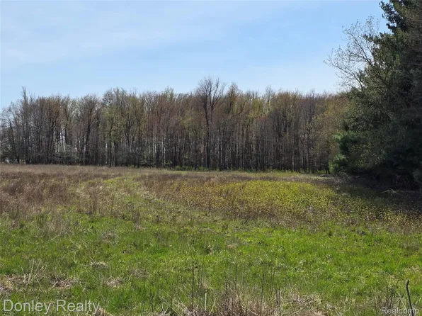 Hyde Rd, Carsonville, MI 48419