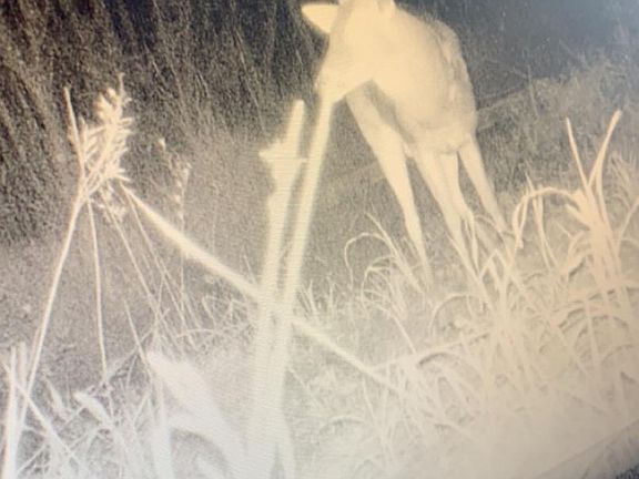 5th image of 00000 Hwy 35 S