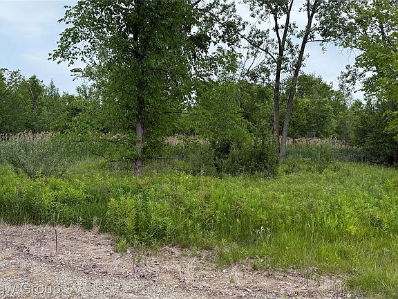 3rd image of 10696 Dunnigan Rd