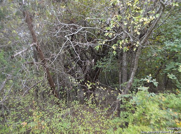 4th image of 15009 Little Wren Ln