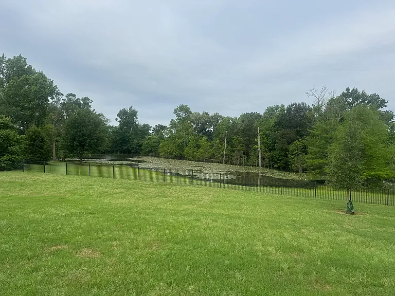 Fenced in back yard, pond setting