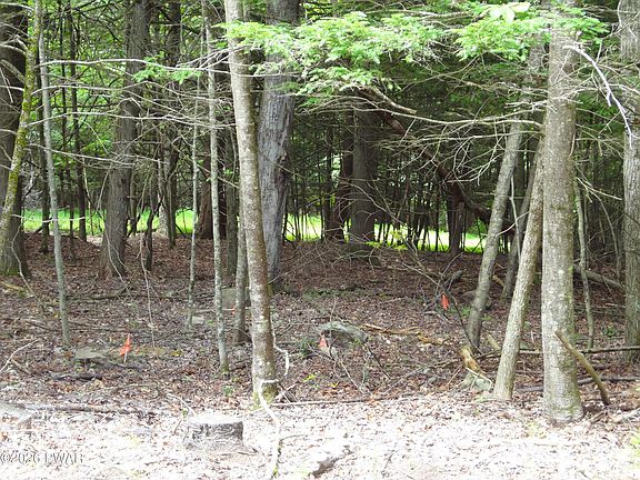 5th image of 20 Pike Ln