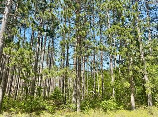 3 Sturgis Rd, Atlanta, MI 49709