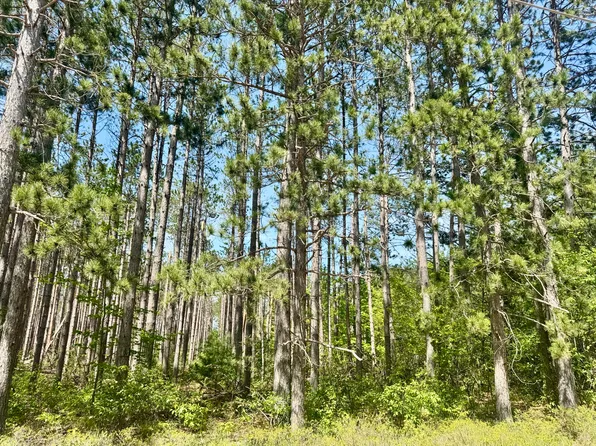 3 Sturgis Rd, Atlanta, MI 49709