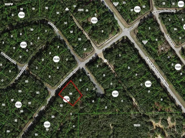 532 W G Martinelli Blvd, Citrus Springs, FL 34434