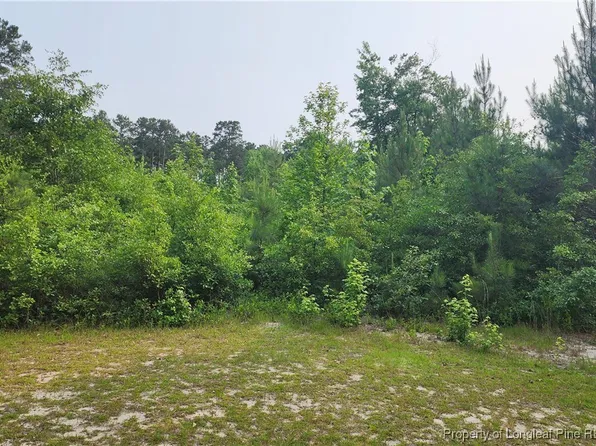 398 Dogwood Trl, Parkton, NC 28371