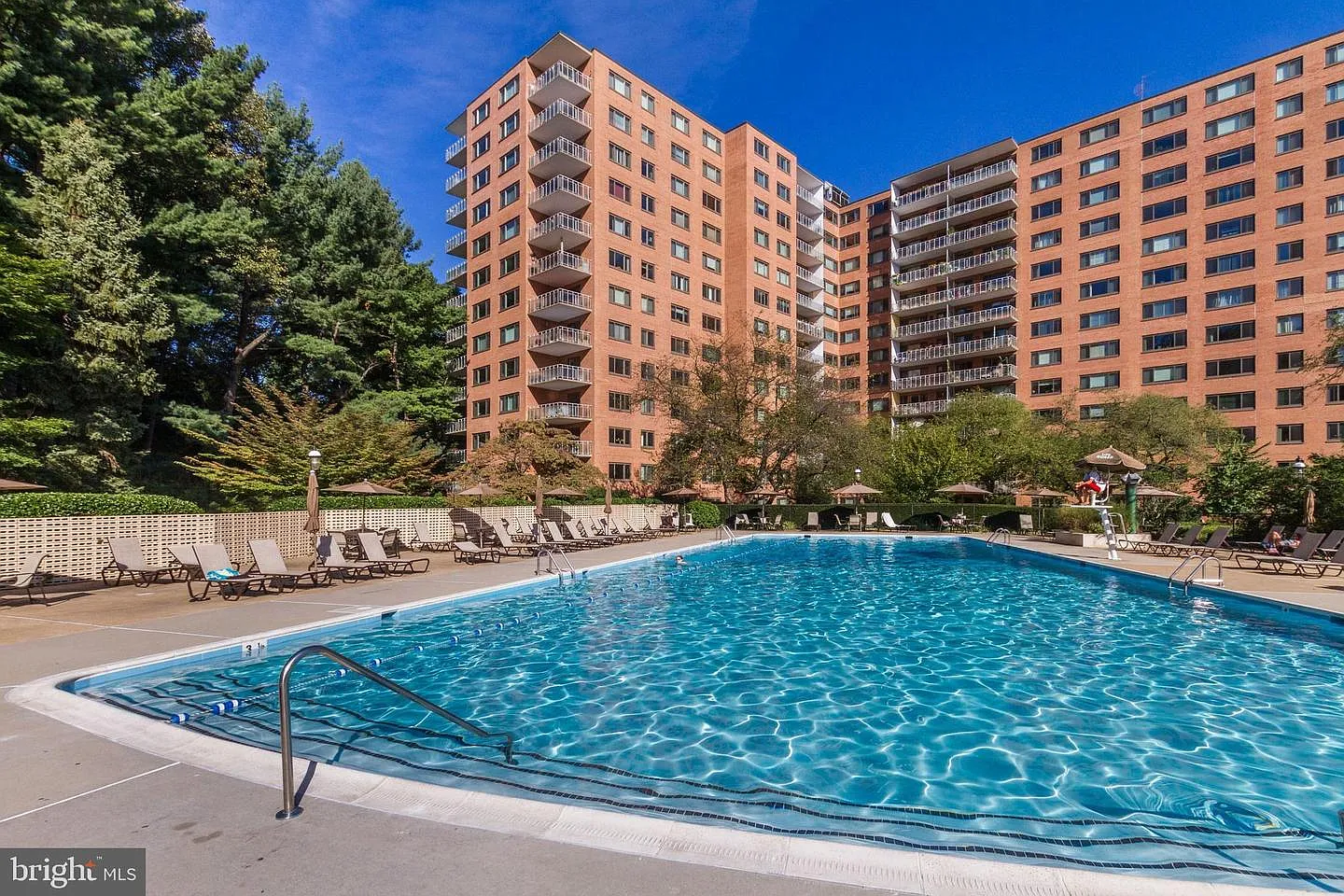 3 bed, 1814 sqft, $4,950 — Photo 3