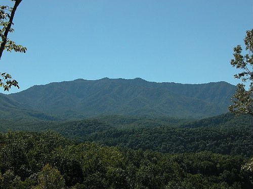 View of Mt. LeConte