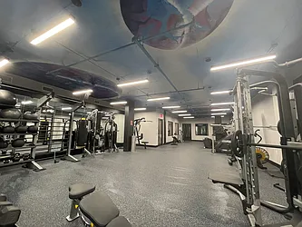 Rented by City Vista Inc