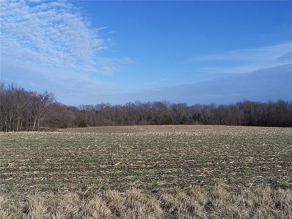 2nd image of 1000 Road