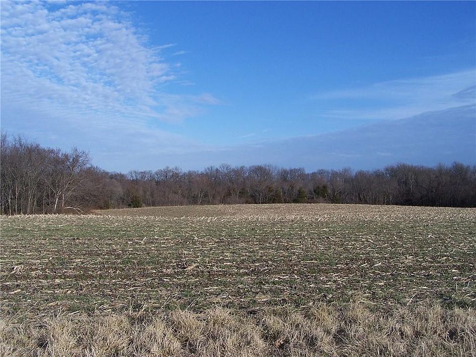 2nd image of 1000 Road