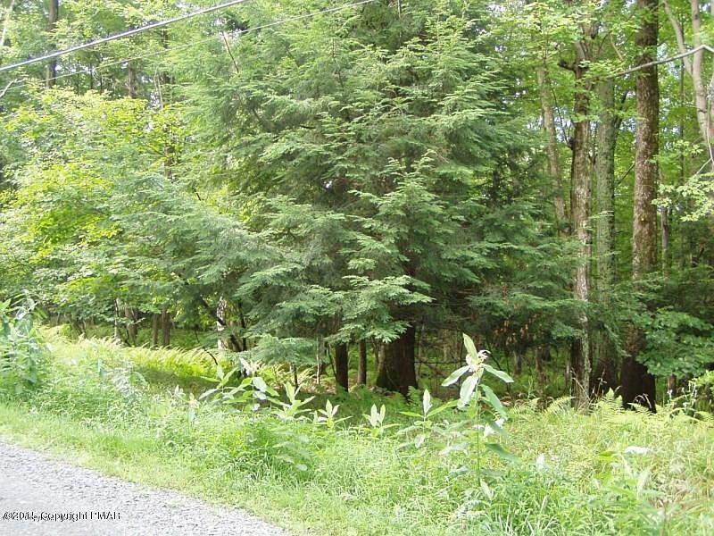 2nd image of 705 Cedar Ln