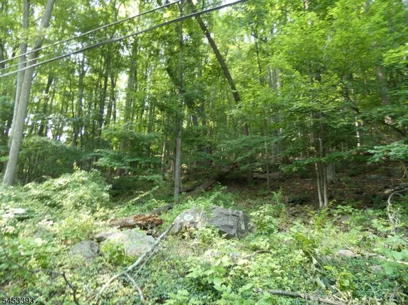 20 Sawmill Rd, Tewksbury Twp., NJ 08833