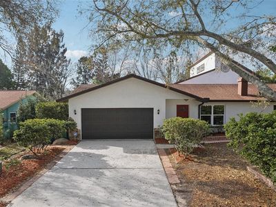 2213 Spanish Vistas Dr, Dunedin, FL, 34698