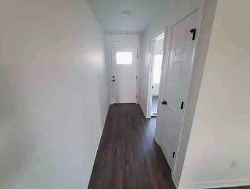 1101 Downy Dr — Photo 6