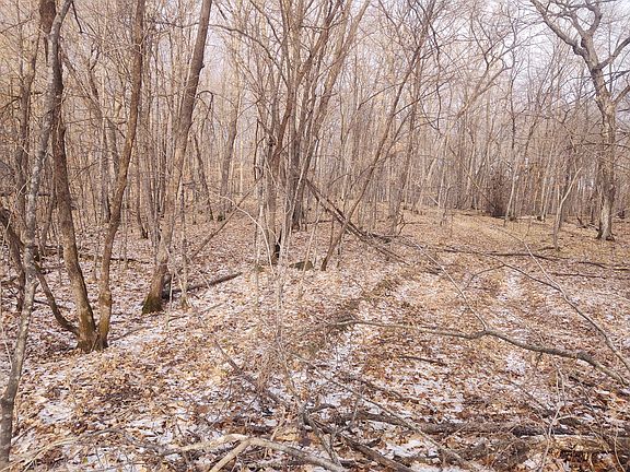 2nd image of 4902X 245th Ave