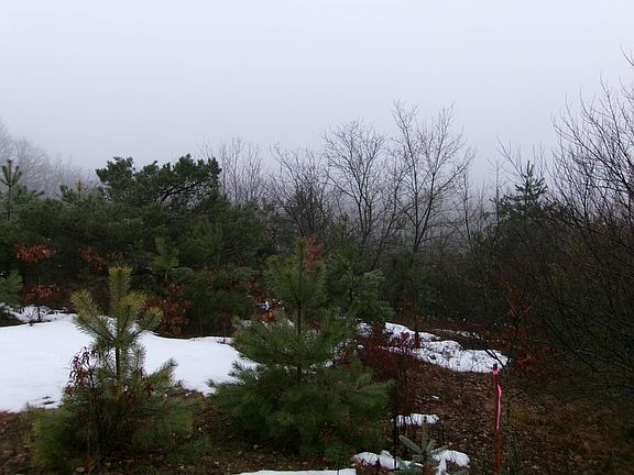 5th image of 0 Second