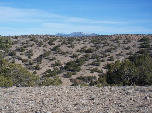 Camino Halcon, Placitas, NM 87043