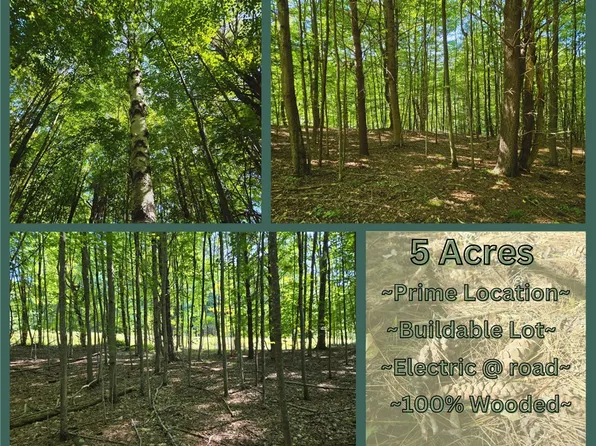 LOT 13 Canterbury Ln, Oneonta, NY 13820