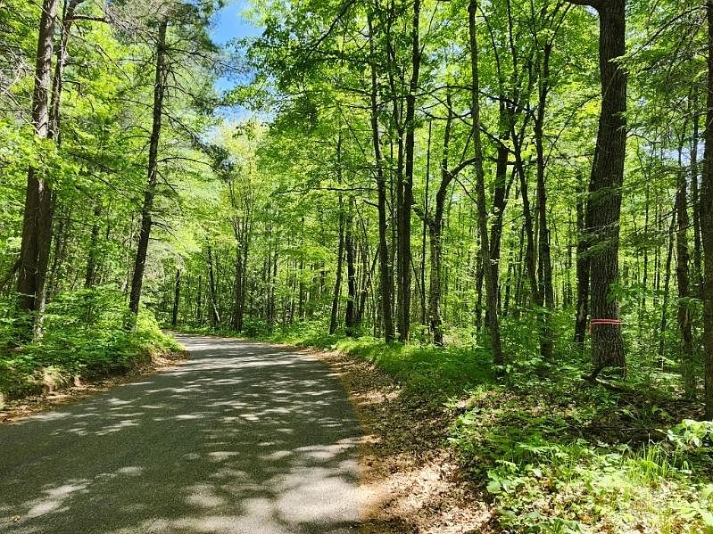 1st image of Bills Lake Rd