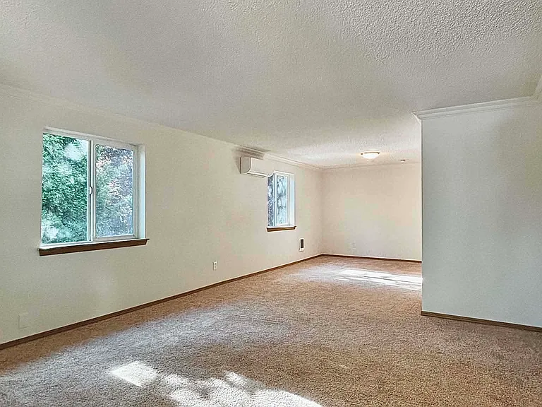 Living and dining area