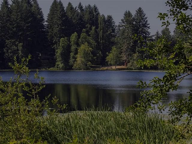 1st image of 10814 Tempo Lake Dr SE