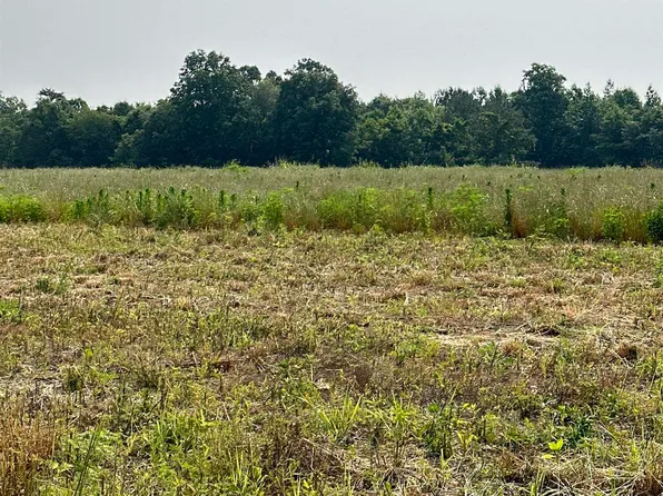 TRACT 34 Hays Mill Rd, Elkmont, AL 35620