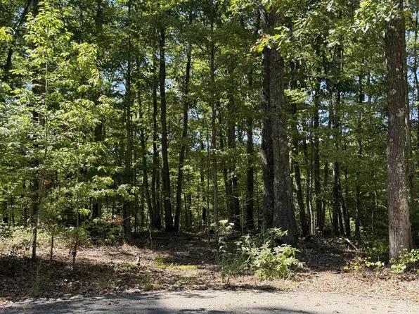 Scarlet Lot 10, Fayetteville, WV 25840