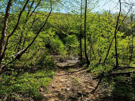 River Road 3