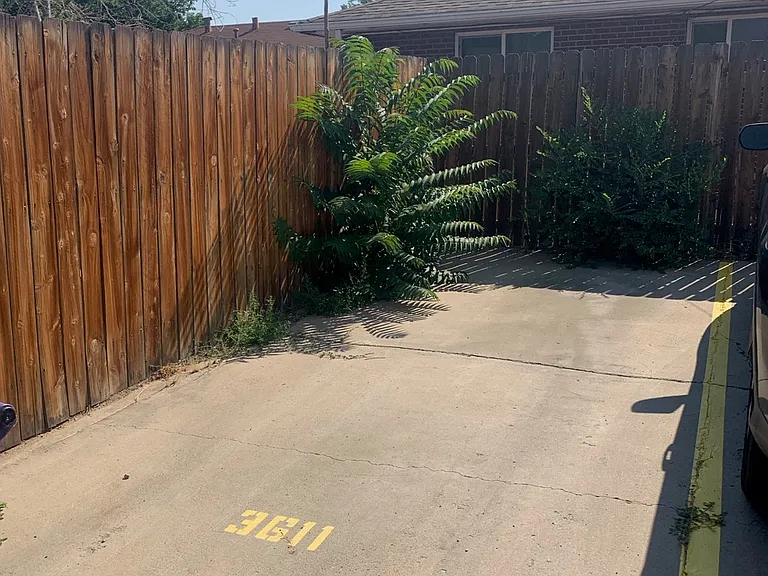 3611 Locust St — Photo 15