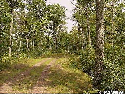 3rd image of Lot  2 Tanglewood Parkway