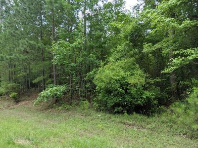 LOT 1 Indian Rd, Lincolnton, GA, 30817
