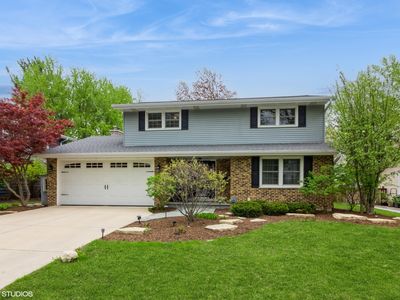 1424 Killdeer Dr, Naperville, IL, 60565