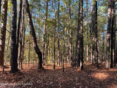 2 Stagecoach Rd, Dadeville, AL, 36853
