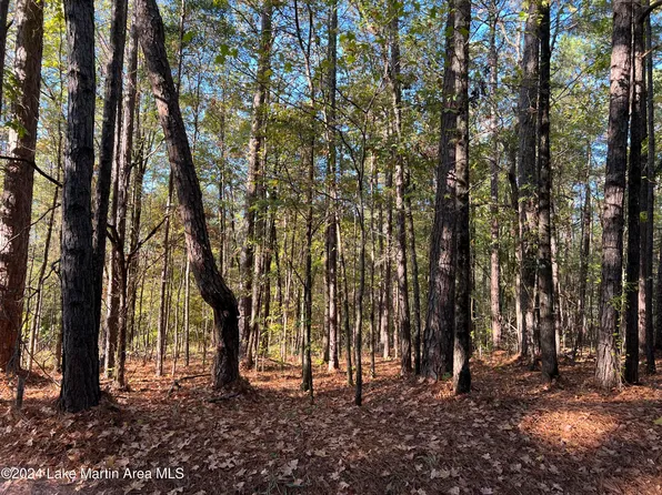 2 Stagecoach Rd, Dadeville, AL 36853