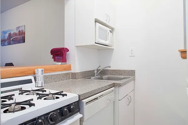 Rented by Big Apple Living | media 18